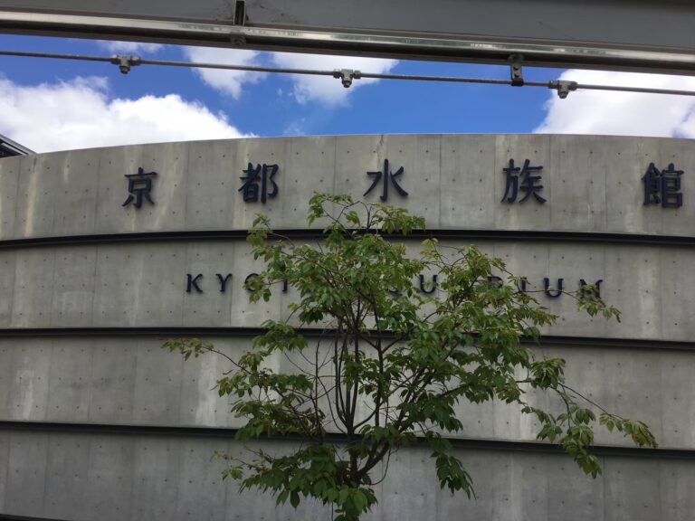 LINE ALBUM 20190613 0618嶸的日本初體驗 260320 223 768x576