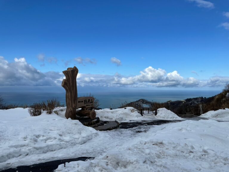 LINE ALBUM 20230108 12 日本東京上野月岡新潟彌彥冷唧唧 260316 77 768x576