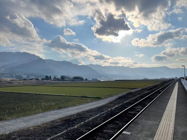 LINE ALBUM 20240229 0305 九州福岡、熊本 我又帶雨神來了😂 260314 309 768x576