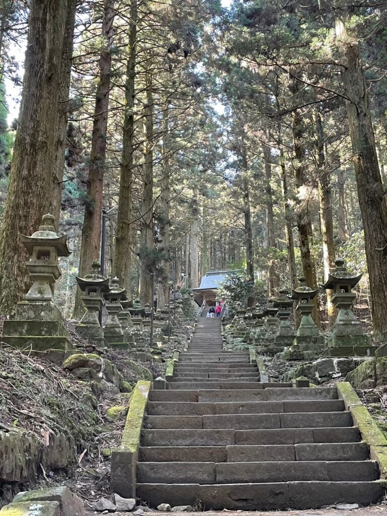 LINE ALBUM 20240229 0305 九州福岡、熊本 我又帶雨神來了😂 260314 373 768x1024