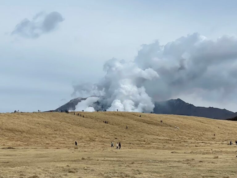 LINE ALBUM 20240229 0305 九州福岡、熊本 我又帶雨神來了😂 260314 484 768x576