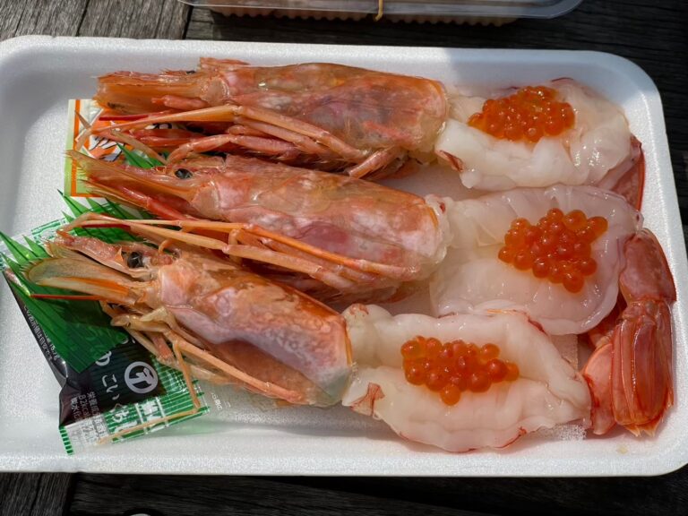 LINE ALBUM 20240229 0305 九州福岡、熊本 我又帶雨神來了😂 260314 99 768x576