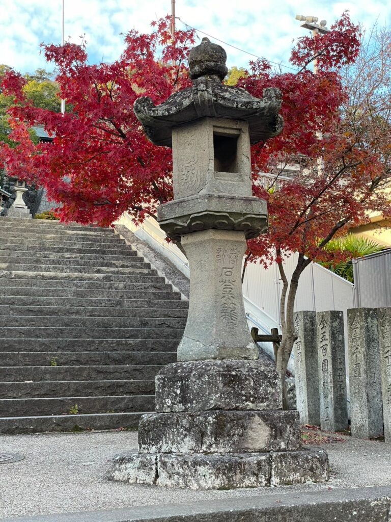 LINE ALBUM 20241220 241225 113 768x1024