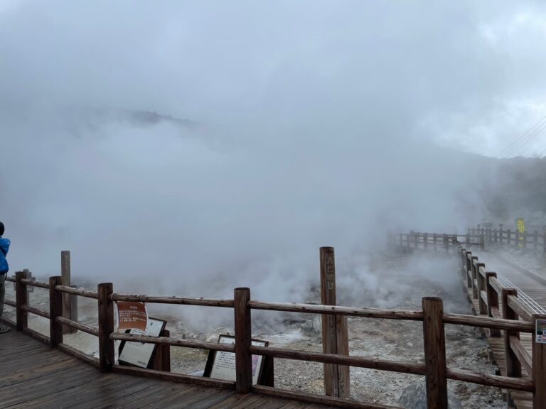 LINE ALBUM 20241221 241225 196 768x576